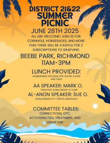 2025 06 28 d21 22 summer picnic flyer